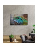 Iguana Cam Tablo