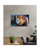 Aslan 2 Cam Tablo