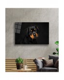 Köpek 6 Cam Tablo