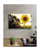 Ayçiçeği Cam Tablo 4mm Dayanıklı Temperli Cam