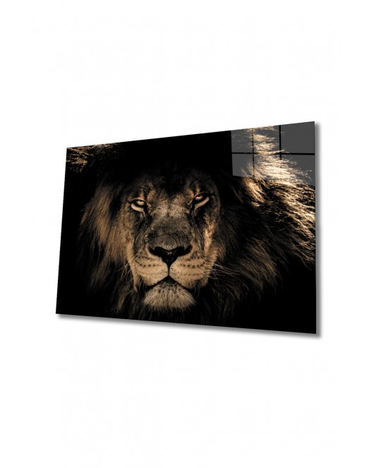 Aslan 14 Cam Tablo