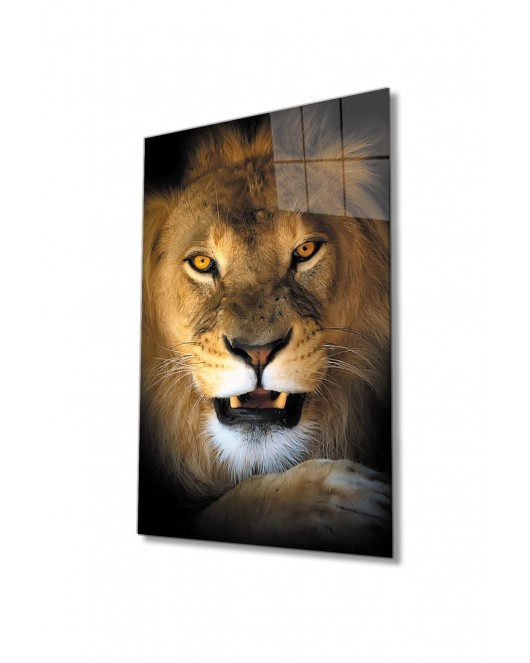 Aslan 15 Hayvan Cam Tablo