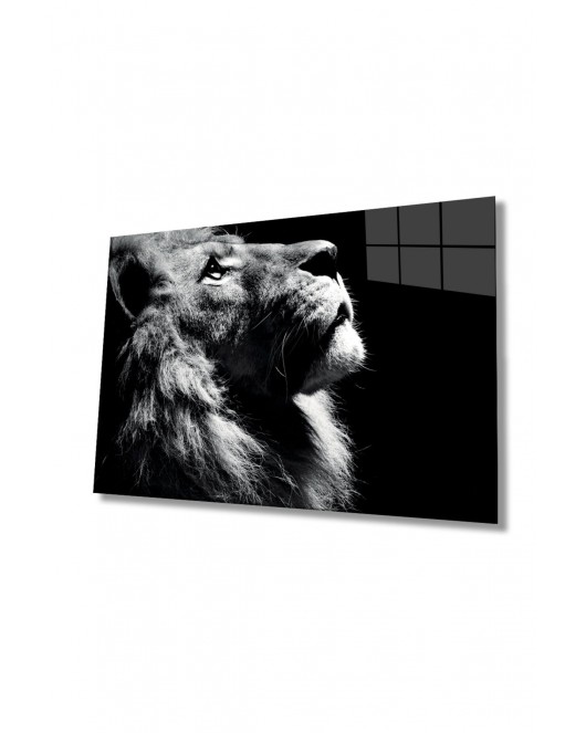 Aslan 16 Hayvan Cam Tablo