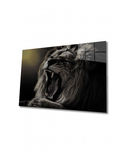 Aslan 4 Cam Tablo