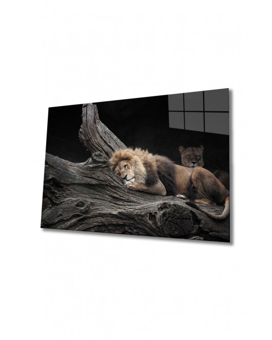 Aslan Cam Tablo