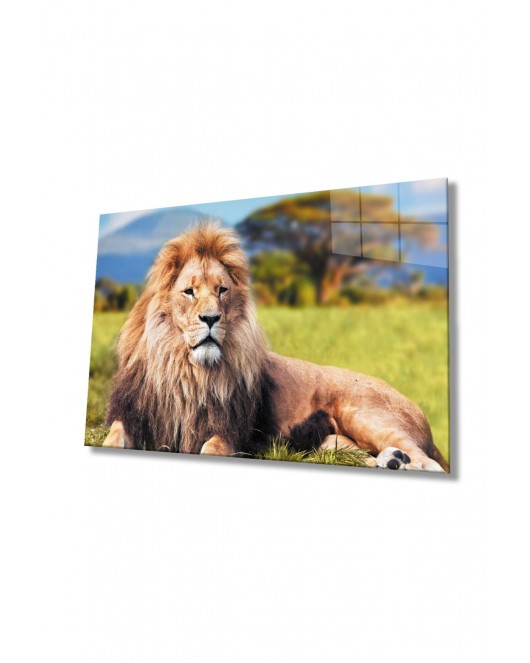 Aslan Hayvan Cam Tablo 4mm Dayanıklı Temperli Cam