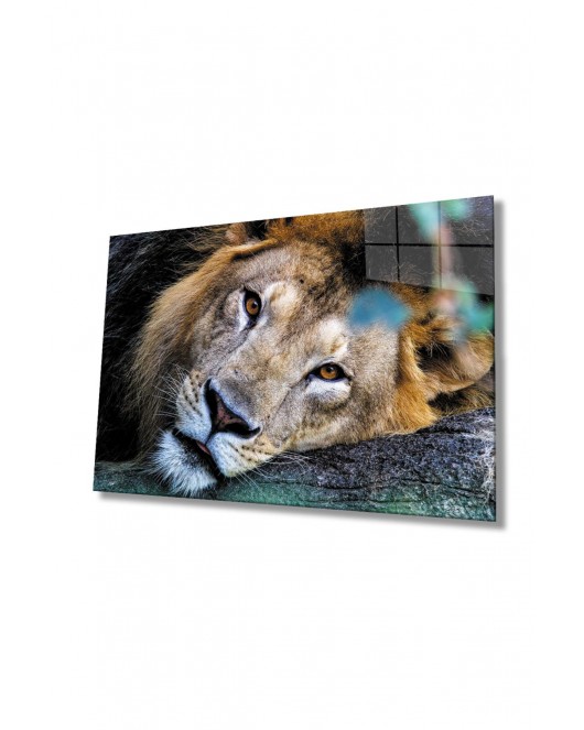 Aslan Hayvan Cam Tablo 4mm Dayanıklı Temperli Cam