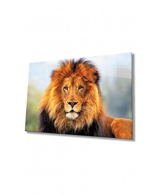 Aslan Hayvan Cam Tablo 4mm Dayanıklı Temperli Cam