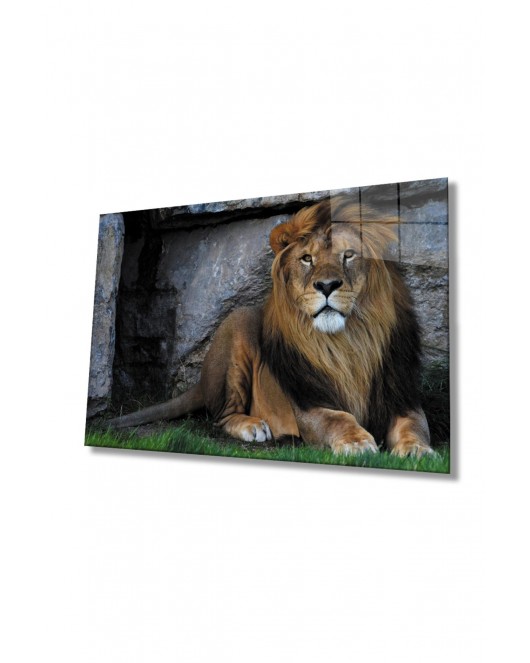 Aslan Hayvan Cam Tablo 4mm Dayanıklı Temperli Cam