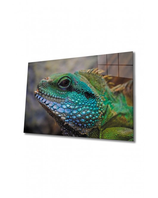 Iguana Cam Tablo