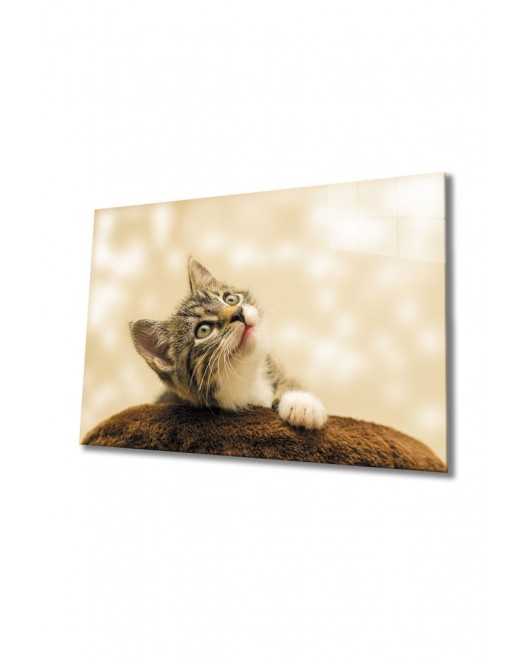 Kedi 3 Cam Tablo