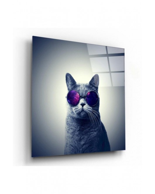 Kedi Cam Tablo