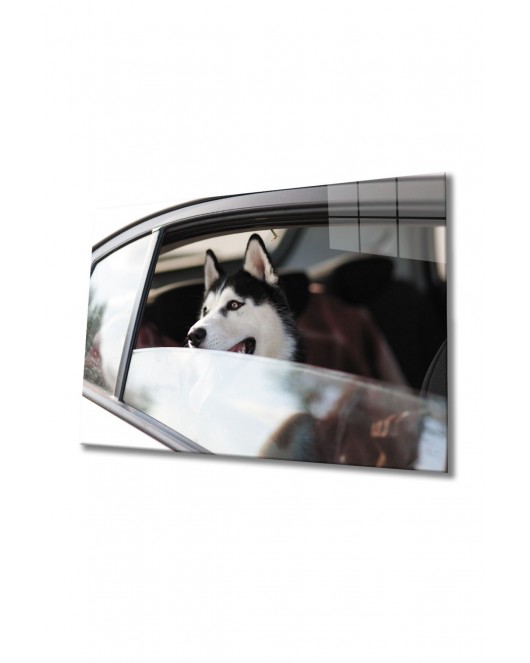 Köpek 4 Cam Tablo