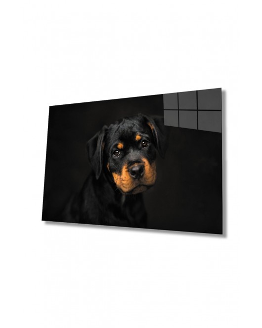 Köpek 6 Cam Tablo
