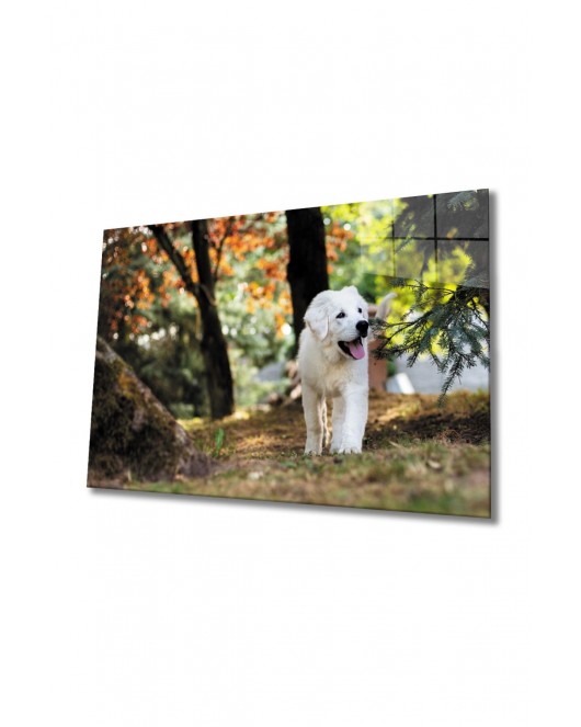 Köpek Cam Tablo