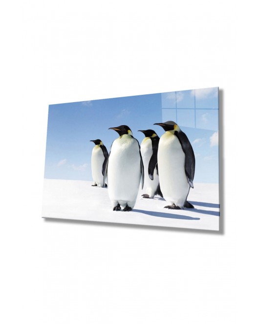 Penguen Hayvan Cam Tablo 4mm Dayanıklı Temperli Cam
