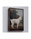 Çerçeveli George Stubbs Beyaz Kaniş Tablo-8034