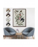 Çerçeveli John James Audubon - Gül Göğüslü Kocabaş Tablo - Rose-Breasted Grosbeak-8043