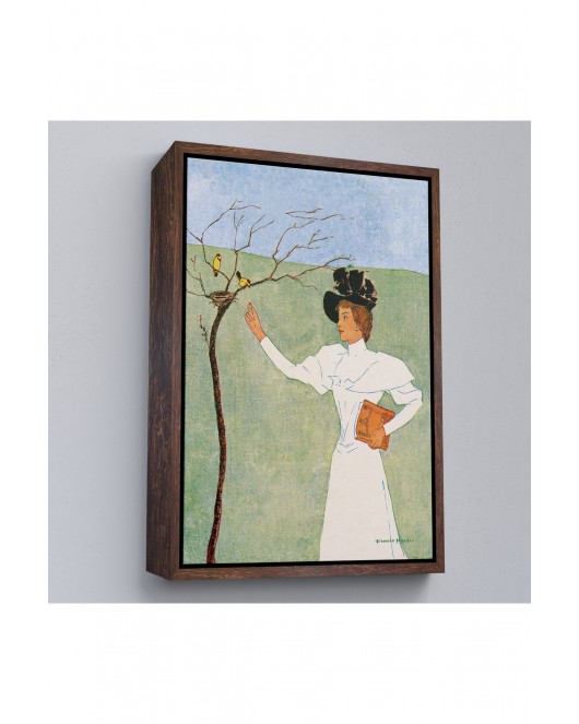 Çerçeveli Edward Penfield - Kuşlara Uzanan Kadın Tablo-8045