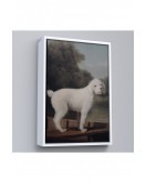 Çerçeveli George Stubbs Beyaz Kaniş Tablo-8034