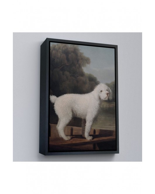 Çerçeveli George Stubbs Beyaz Kaniş Tablo-8034