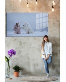 Eğlenceli Hayvanlar, Yapay Zeka Destekli, 3D Dekoratif Baskı Yatay Cam Tablo 293
