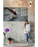 Eğlenceli Hayvanlar, Yapay Zeka Destekli, 3D Dekoratif Baskı Yatay Cam Tablo 255