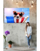 Eğlenceli Hayvanlar, Yapay Zeka Destekli, 3D Dekoratif Baskı Yatay Cam Tablo 297
