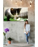 Eğlenceli Hayvanlar, Yapay Zeka Destekli, 3D Dekoratif Baskı Yatay Cam Tablo 555