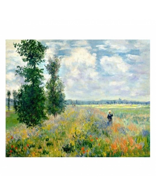 Monet Hashas Bahçesi KASNAKLI SAYILARLA BOYAMA SETİ