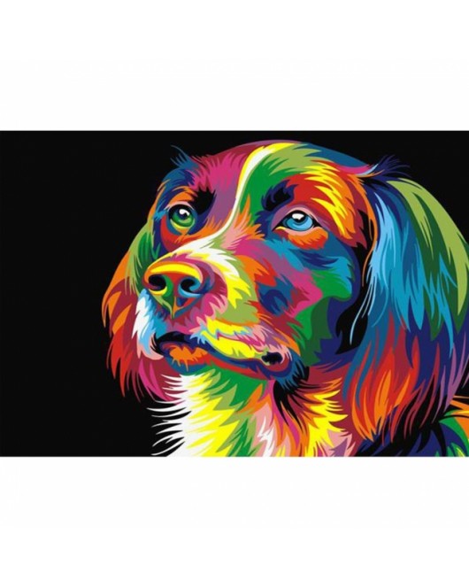 Renkli Köpek KASNAKLI SAYILARLA BOYAMA SETİ