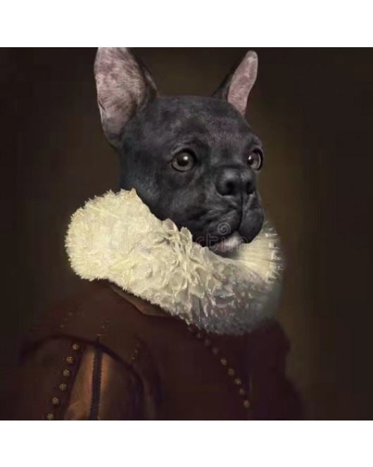 Asil Köpek KASNAKLI SAYILARLA BOYAMA SETİ