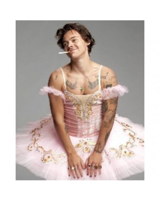 Harry Styles KASNAKLI SAYILARLA BOYAMA SETİ