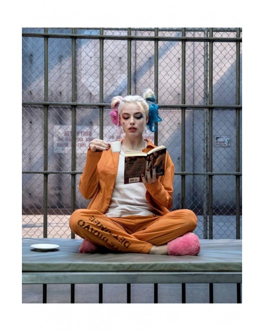 Harleyquinn'İn Bir Günü KASNAKLI SAYILARLA BOYAMA SETİ