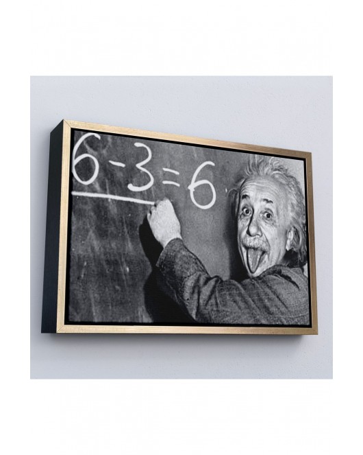 Çerçeveli Albert Einstein Tablosu-7246