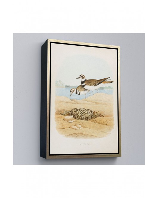 Çerçeveli Edwin L. Sheppard - Öldürücü Tablo - Killdeer-7338