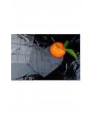 Baskılı Cam Kesme Tahtası |temperli Cam | 25 x 35 cm